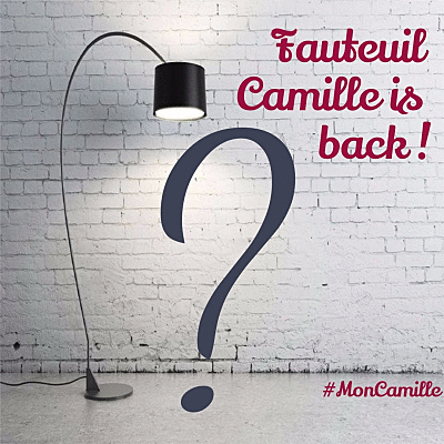 Fauteuil CAMILLE